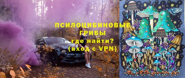 ALPHA PVP Алексин