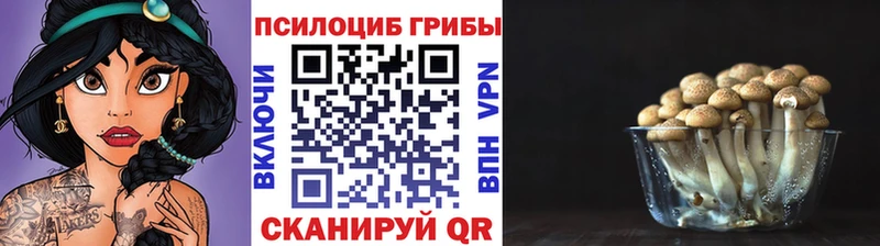 Псилоцибиновые грибы Psilocybine cubensis  как найти закладки  Льгов 
